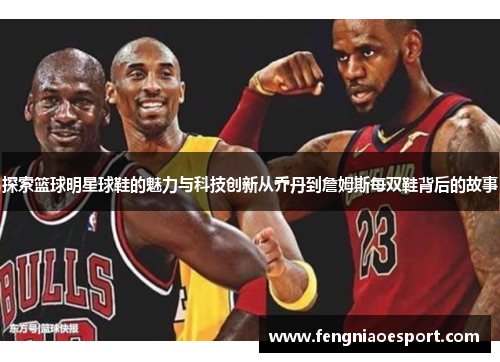 探索篮球明星球鞋的魅力与科技创新从乔丹到詹姆斯每双鞋背后的故事
