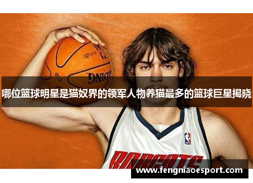 哪位篮球明星是猫奴界的领军人物养猫最多的篮球巨星揭晓