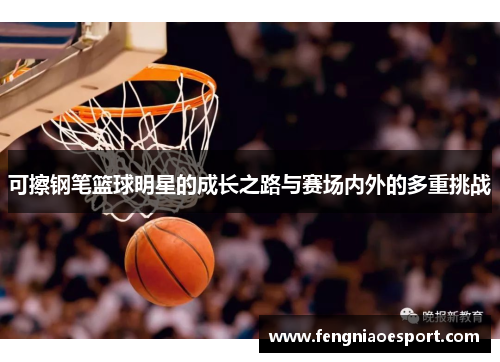 可擦钢笔篮球明星的成长之路与赛场内外的多重挑战