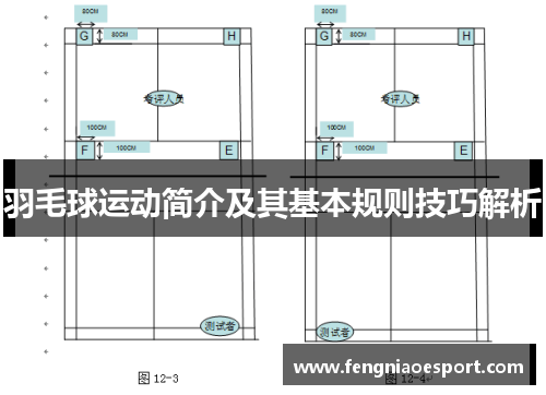 羽毛球运动简介及其基本规则技巧解析