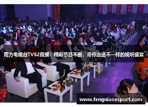南方电视台TVS2直播：精彩节目不断，带你走进不一样的视听盛宴
