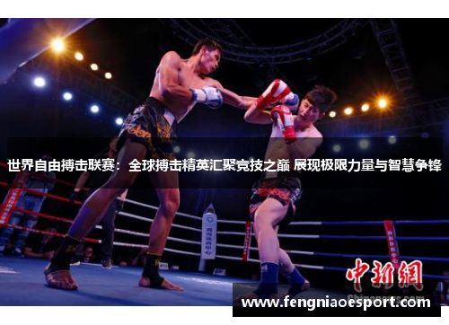 世界自由搏击联赛：全球搏击精英汇聚竞技之巅 展现极限力量与智慧争锋