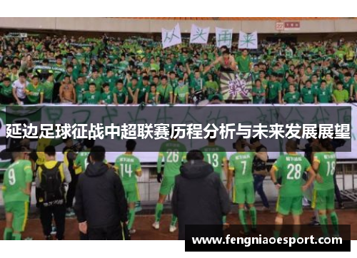 延边足球征战中超联赛历程分析与未来发展展望