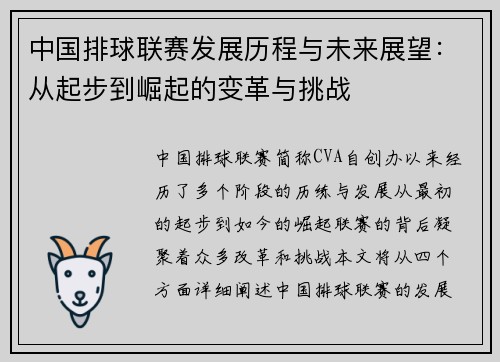 中国排球联赛发展历程与未来展望：从起步到崛起的变革与挑战