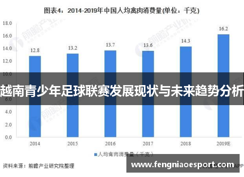 越南青少年足球联赛发展现状与未来趋势分析