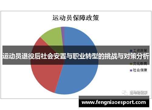 运动员退役后社会安置与职业转型的挑战与对策分析