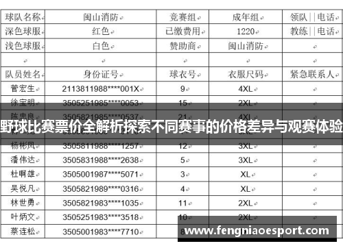 野球比赛票价全解析探索不同赛事的价格差异与观赛体验